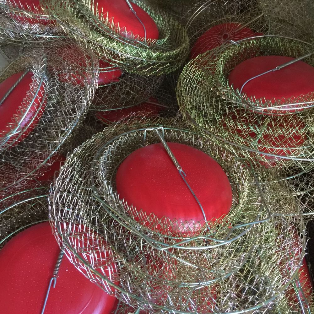Metal Fishing Basket Foldable  - đánh giá và giá Fishing Equipment Essentials