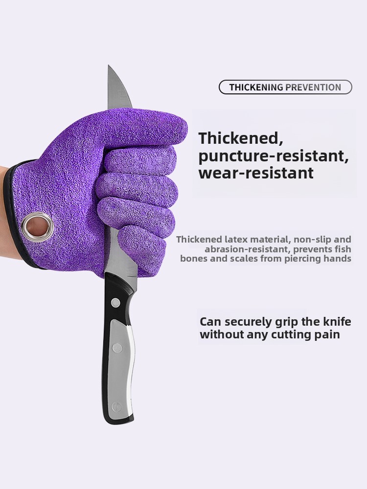 Fishing Glove Anti-Bursh Anti- - đánh giá và giá Fishing Equipment Brands